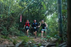 BIB: 
                            <button type="button" onclick="openModal(28024789)" class="btn btn-primary btn-sm float-right btn-popup" data-toggle="modal" data-target=".modal-high-quality">
                        <i class="fas fa-shopping-cart"></i> Add to Cart
                    </button>
                                            <button type="button" onclick="isThisMe(28024789, true)" class="btn btn-success btn-sm float-right btn-popup btn-isme hidden" data-toggle="tooltip" data-placement="bottom" title="นี่คือรูปของคุณใช่ไหม คลิกที่นี่เพื่อเอาเข้าอัลบั้ม">
                        <i class="fas fa-plus"></i> Add to album
                    </button>
                    <button type="button" onclick="isThisMe(28024789, false)" class="btn btn-warning btn-sm float-right btn-popup btn-isnotme hidden">
                        <i class="fas fa-ban"></i> Remove from album
                    </button>